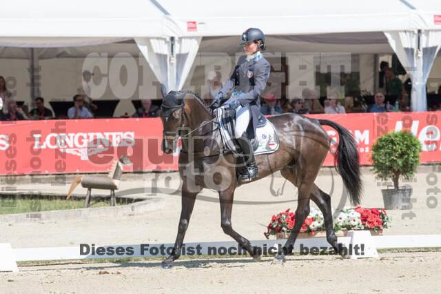 FEI European Championship