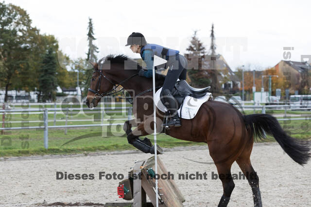 IGV Lehrgang der Sieger der Cups mit Frank Ostholt