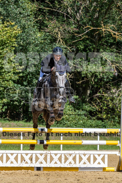 RFV Dinslaken-Hiesfeld (Herbstturnier)