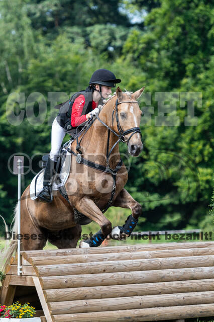 Goldene Schärpe 2021 - Ponys