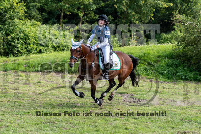 Goldene Schärpe 2021 - Ponys
