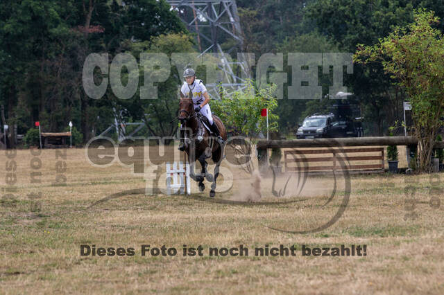 Late-Entry Vielseitigkeit Hamminkeln/Wesel (01.+02.08.2020)