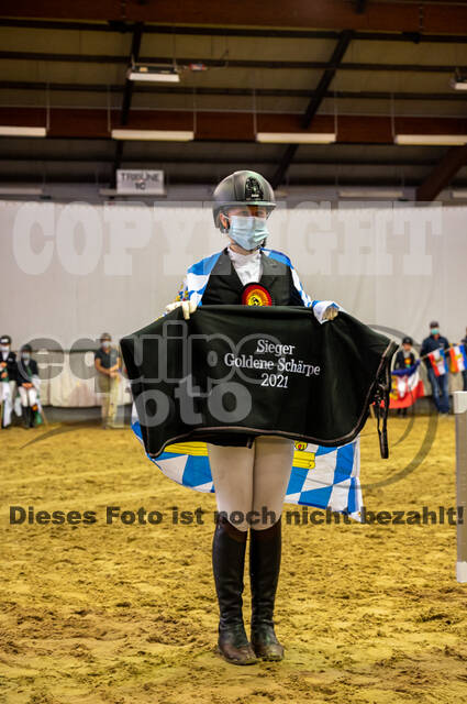 Goldene Schärpe 2021 - Ponys