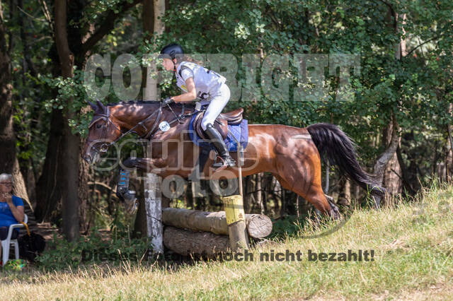 Late-Entry Vielseitigkeit Hamminkeln/Wesel (01.+02.08.2020)