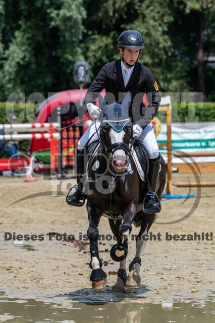 Goldene Schärpe 2021 - Ponys