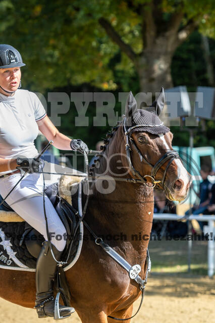 RFV Dinslaken-Hiesfeld (Herbstturnier)