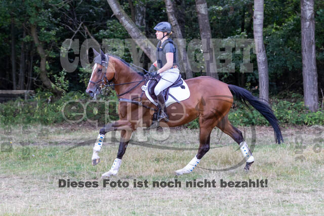 Late-Entry Vielseitigkeit Hamminkeln/Wesel (01.+02.08.2020)