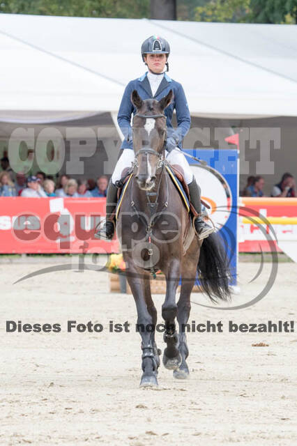 FEI European Championship
