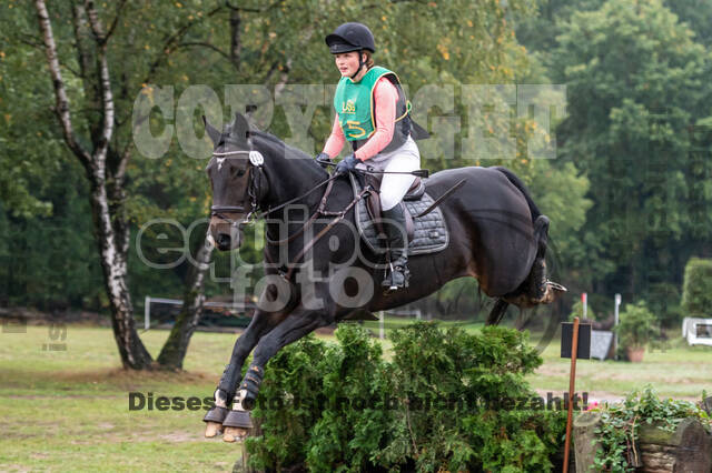 Vielseitigkeit RSV Wesel Obrighoven (26.+27.09.2020)