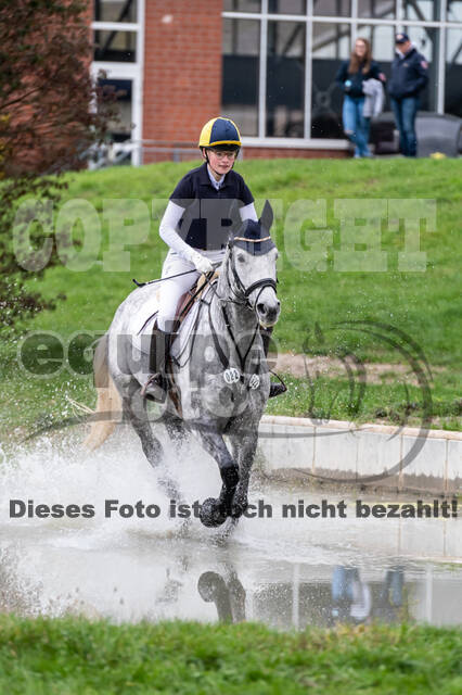 Goldene Schärpe 2020 - Pferde