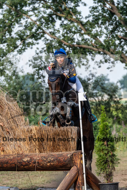 De Peelbergen (August 2020)