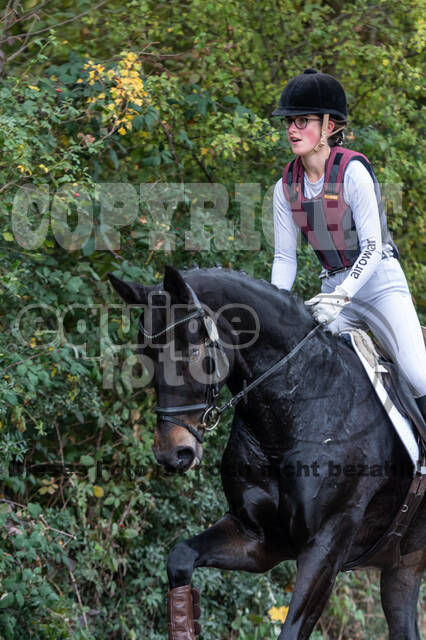 Goldene Schärpe 2020 - Pferde