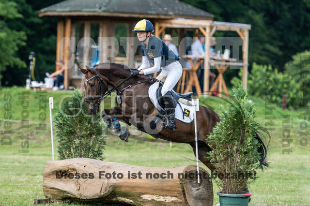 Goldene Schärpe 2021 - Ponys