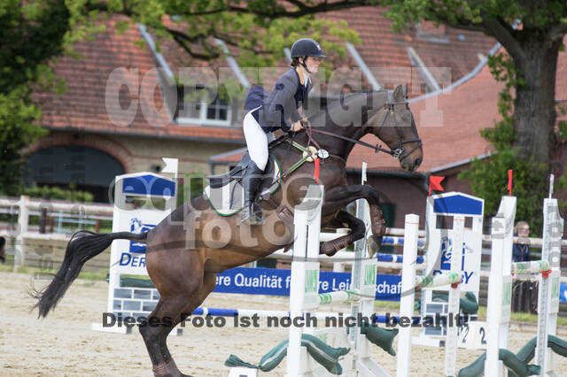 Sterne über Münster 2019 - CCI***S