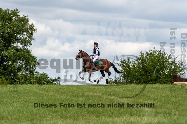 Bonn-Rodderberg Late-Entry-Vielseitigkeit (30.06.2020)