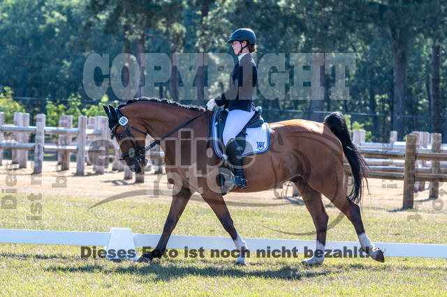 Kronenberg - De Peelbergen (August 2020)