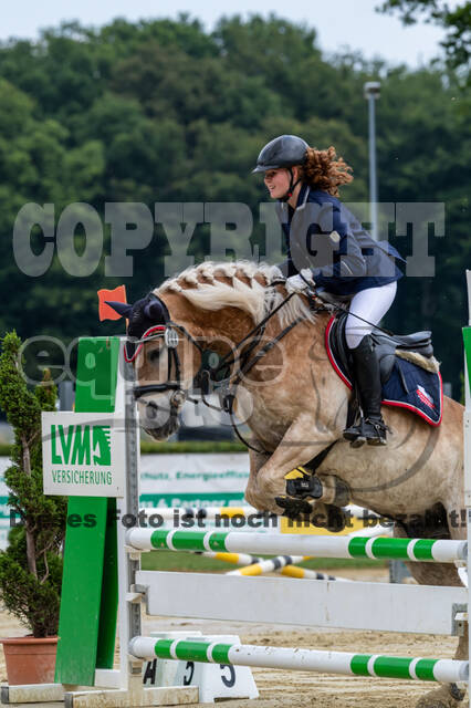 Goldene Schärpe 2021 - Ponys
