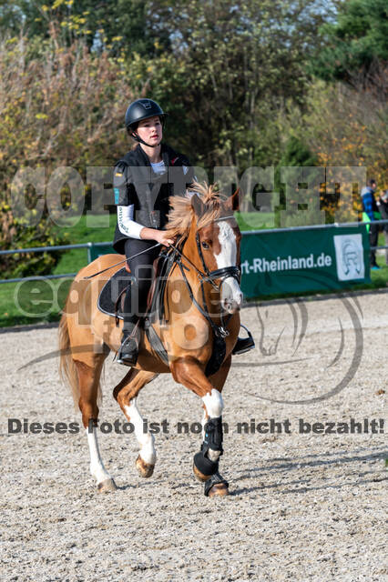 IGV Lehrgang der Sieger der Cups mit Frank Ostholt