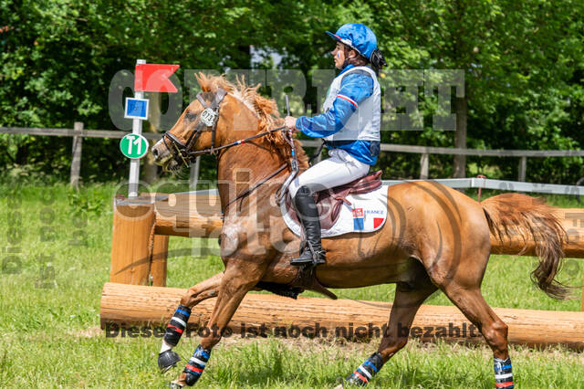Westerstede Horse Trials 2021