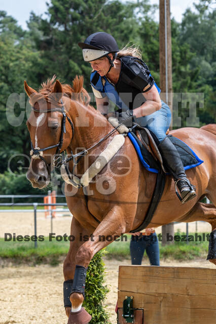 Hunter Geländetraining 10.07.2021 (Sonsbeck)