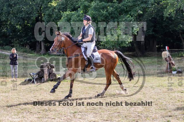Late-Entry Vielseitigkeit Hamminkeln/Wesel (01.+02.08.2020)