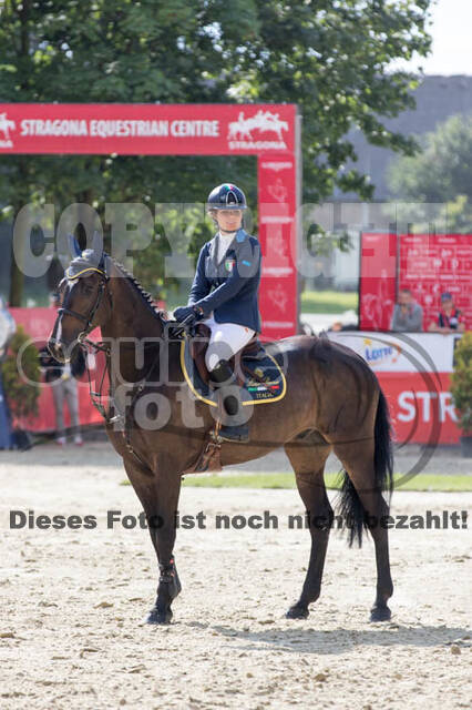 FEI European Championship