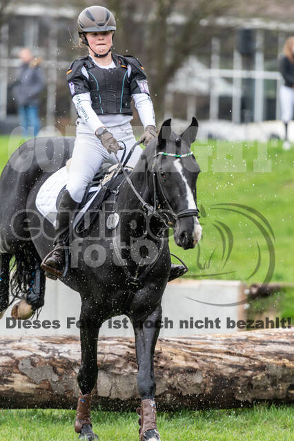 Goldene Schärpe 2020 - Pferde