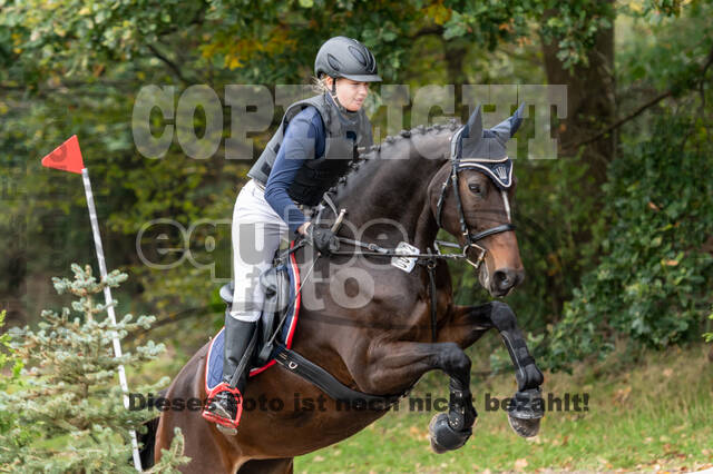 Goldene Schärpe 2020 - Pferde