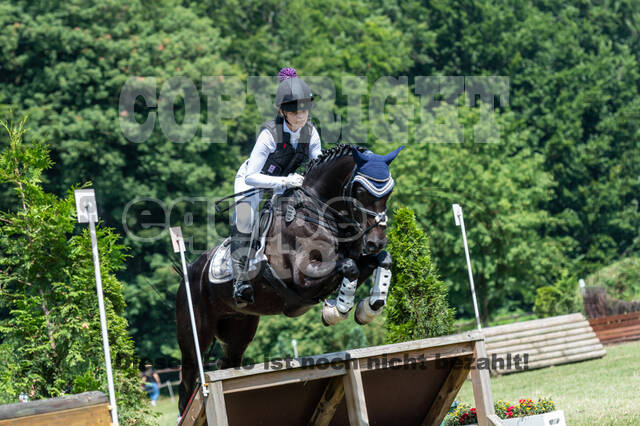 Goldene Schärpe 2021 - Ponys