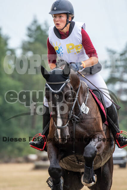 Late-Entry Vielseitigkeit Hamminkeln/Wesel (01.+02.08.2020)