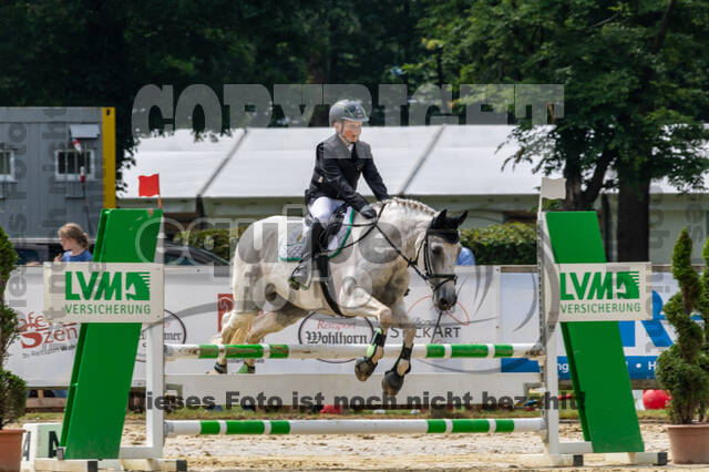 Goldene Schärpe 2021 - Ponys