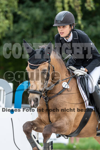 Late-Entry-Vielseitigkeit Langenfeld (06.+07.07.2020)