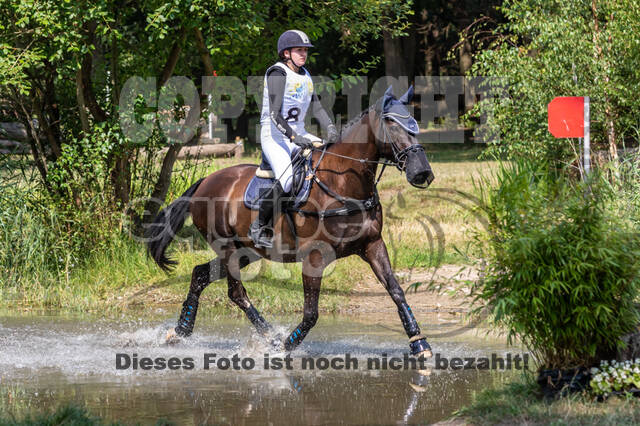 Late-Entry Vielseitigkeit Hamminkeln/Wesel (01.+02.08.2020)