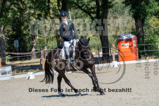 Kronenberg - De Peelbergen (August 2020)