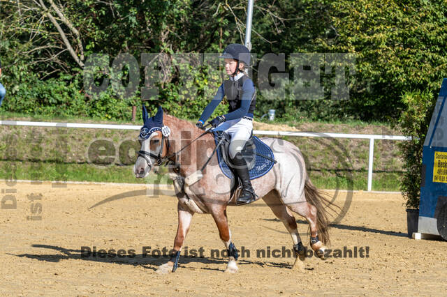 RFV Dinslaken-Hiesfeld (Herbstturnier)