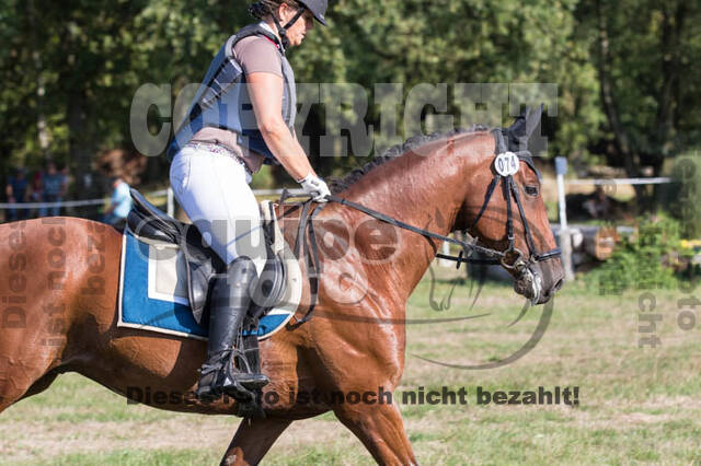 Vielseitigkeitsturnier RSV St. Hubertus Wesel Obrighoven