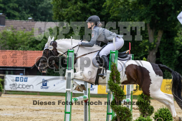 Goldene Schärpe 2021 - Ponys