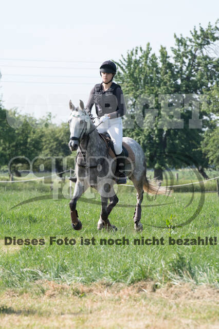 Vielseitigkeitsturnier ZRuFV von Lützow Hamminkeln