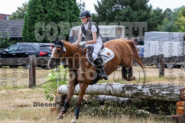 Late-Entry Vielseitigkeit Hamminkeln/Wesel (01.+02.08.2020)