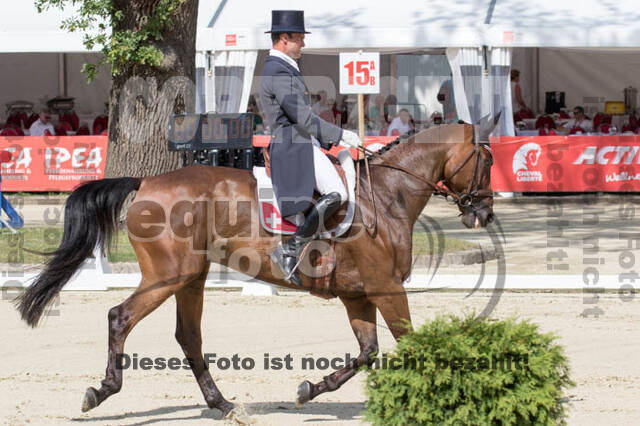 European Championship Eventing 2017