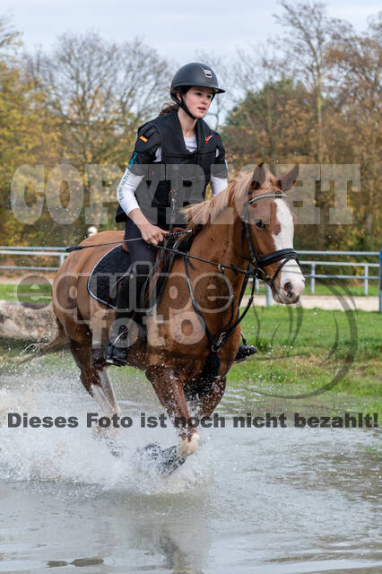 IGV Lehrgang der Sieger der Cups mit Frank Ostholt