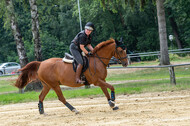 Hunter Geländetraining 10.07.2021 (Sonsbeck)