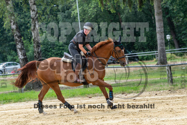 Hunter Geländetraining 10.07.2021 (Sonsbeck)