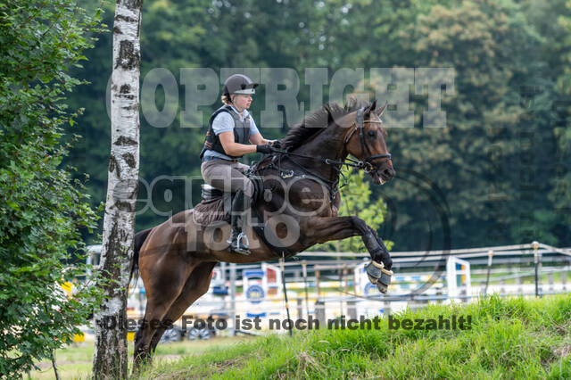 Hunter Geländetraining 10.07.2021 (Sonsbeck)