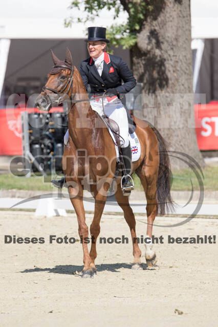 FEI European Championship Eventing 2017