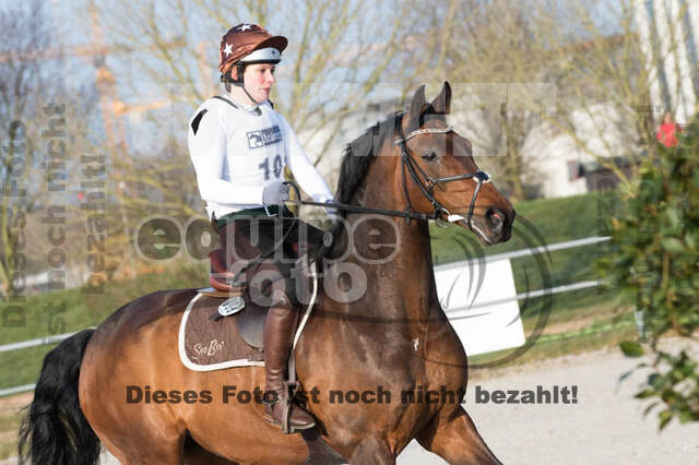 Eventing Langenfeld 2018