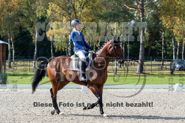 Deutsche Meisterschaft Vielseitigkeit (Luhmühlen)