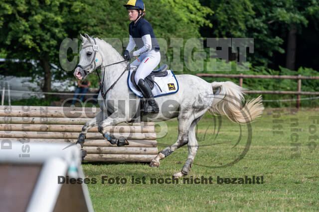 Goldene Schärpe 2021 - Ponys