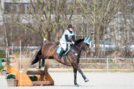 Eventing Langenfeld 2018