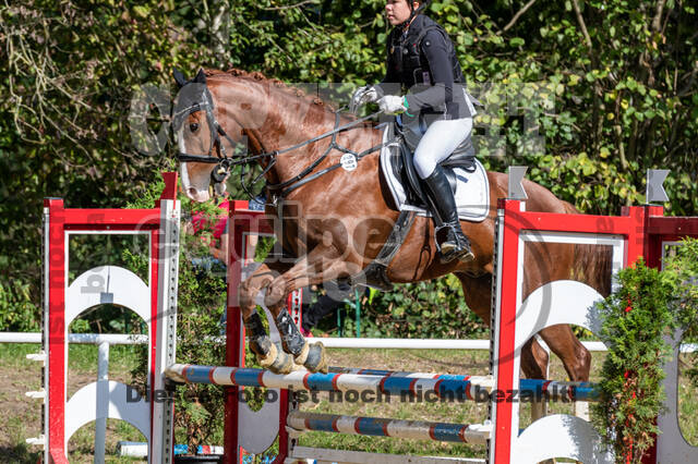 RFV Dinslaken-Hiesfeld (Herbstturnier)